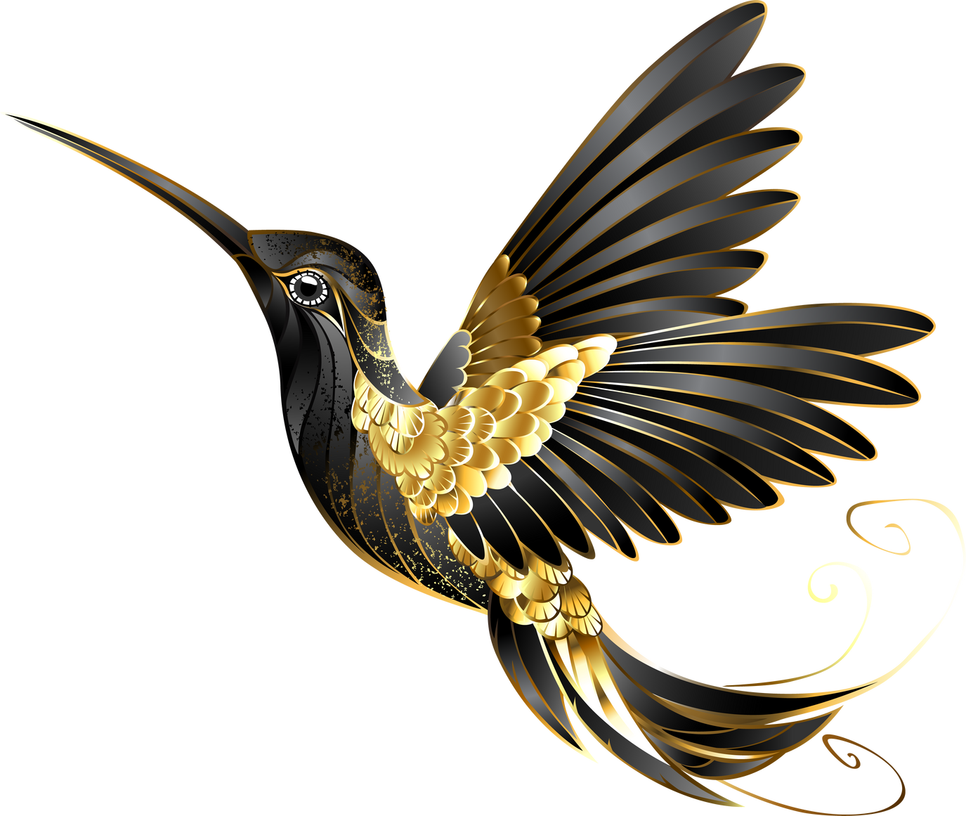 Golden Hummingbird Illustration